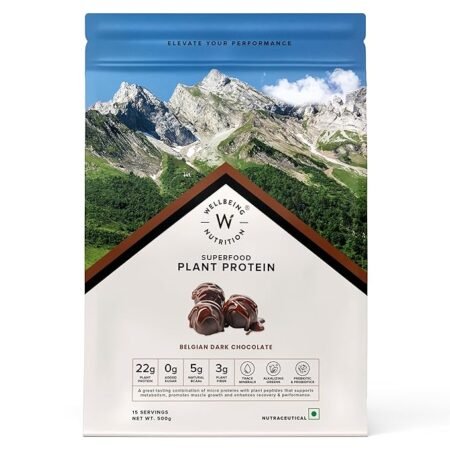 Wellbeing Nutrition Organic Vegan Plant Protein Isolate | 22g Protein | 500gm